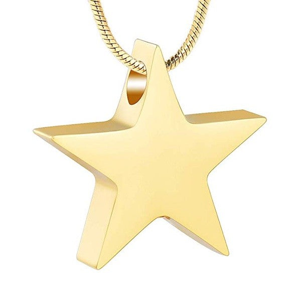 As Hanger Ster RVS Goudkleurig (incl. ketting)